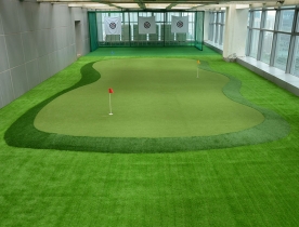 Indoor Green